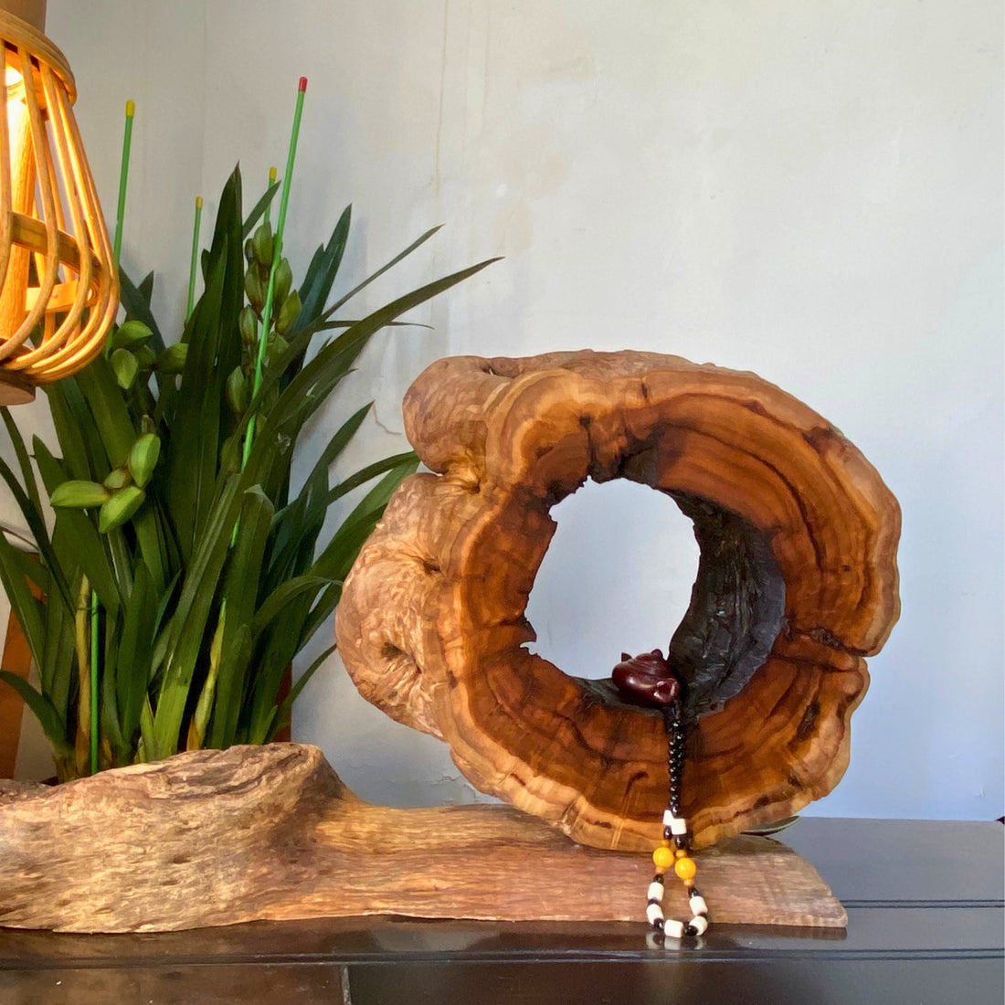 The Stories in Wood and Bark: Handcrafted Dialogues with Nature
