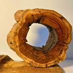 “Altar of Time & Cloud” Sculpture in Fragrant Sandalwood and Lightning-Struck Wood