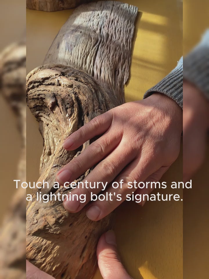 ritual altar sculpture、meditation altar、contemporary altar、handmade wooden altar、zen scu、statement art piecelpture、collector sculpture、art for meditation room